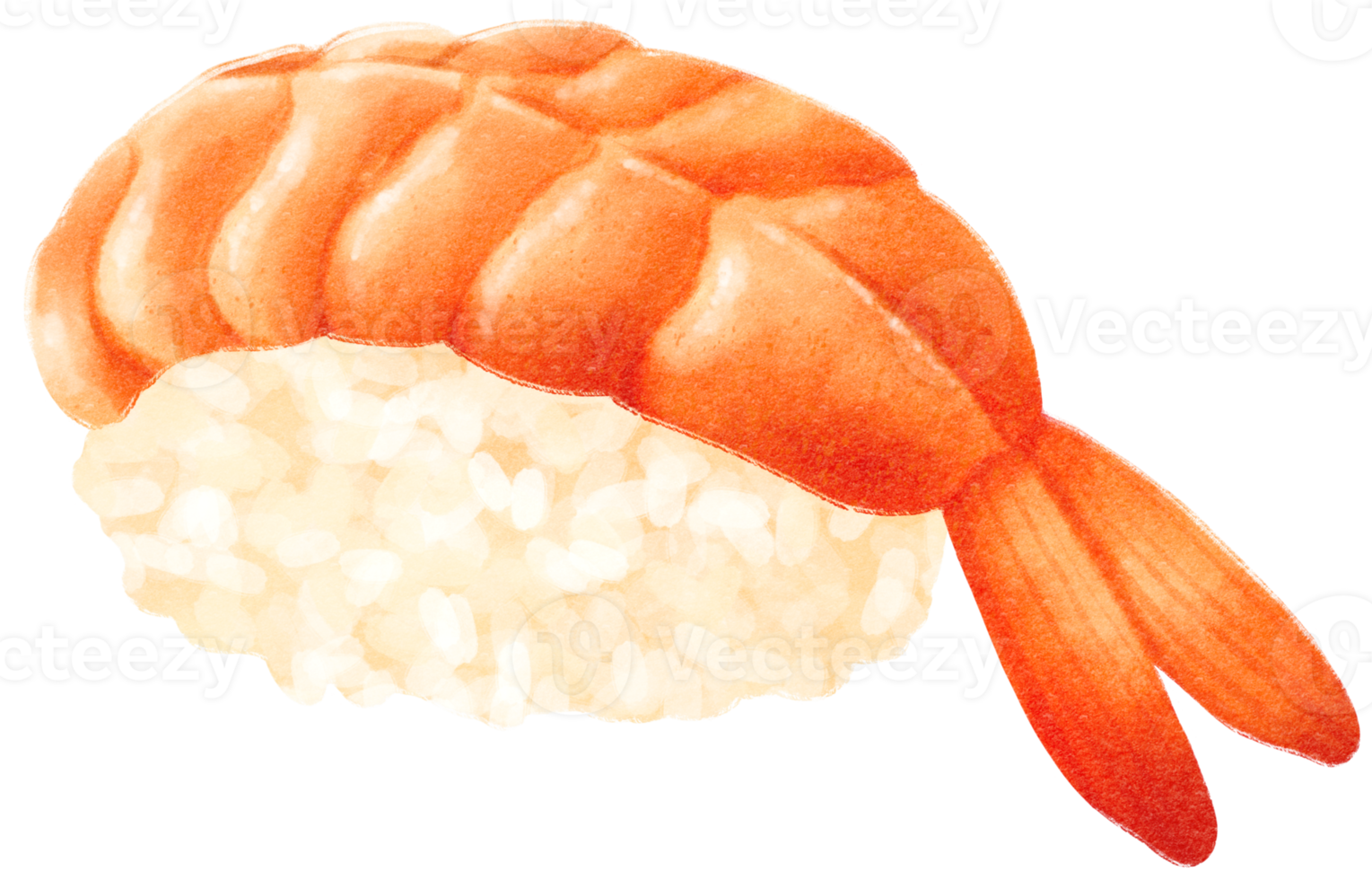 illustrazione dell'acquerello di sushi png