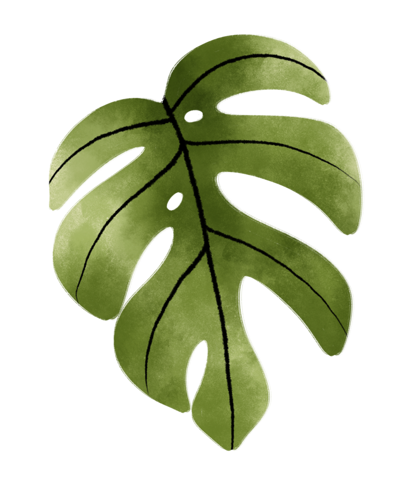 illustrazione di foglia verde tropicale in acquerello png