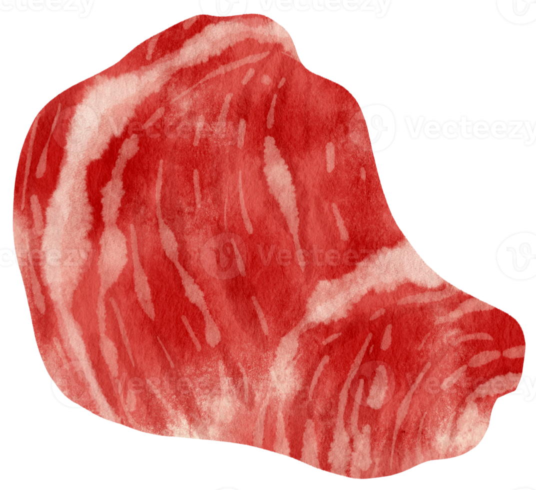 estilo aquarela de carne crua para elemento decorativo png