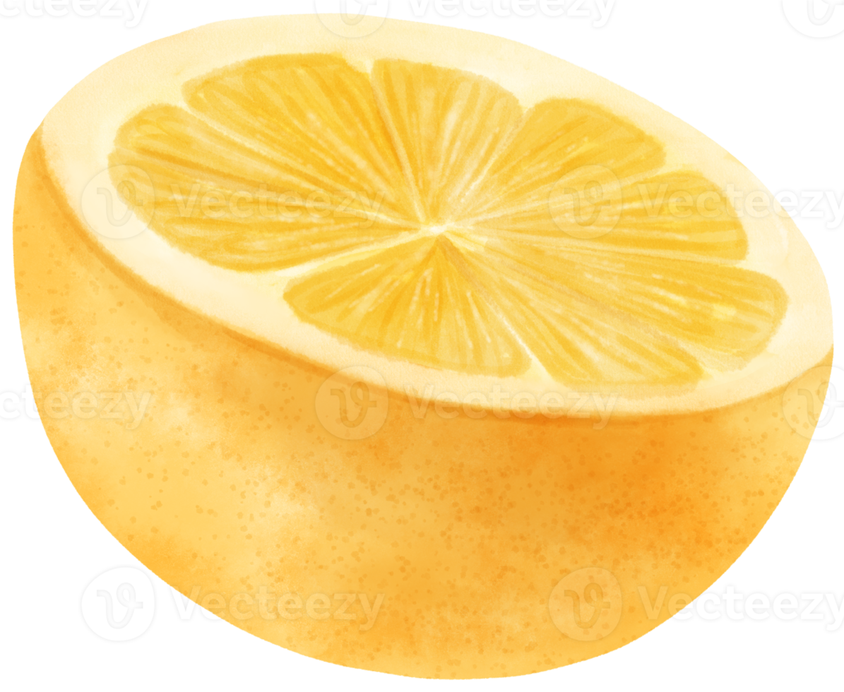 watercolor half of lemon fruit png