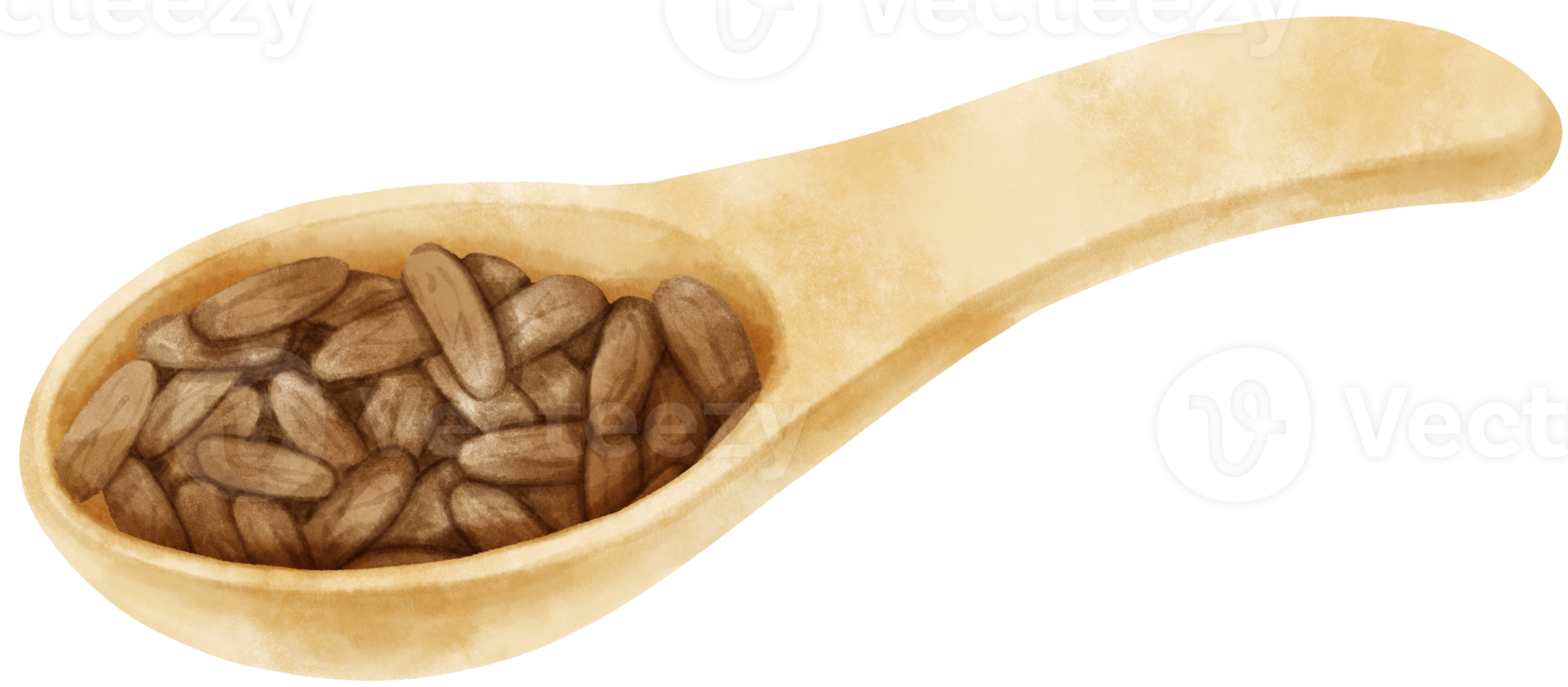 watercolor cocoa beans in wooden spoon png