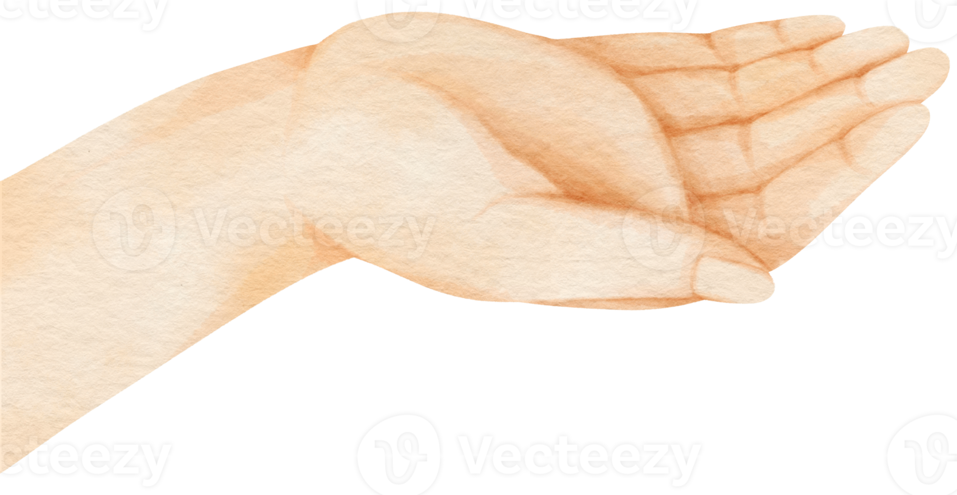 Open palm hand watercolor illustration png