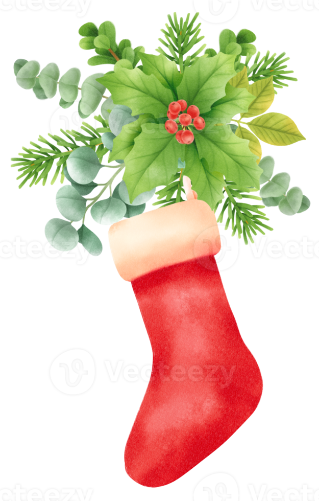 bouquet de verdure de noël styles d'illustration aquarelle png