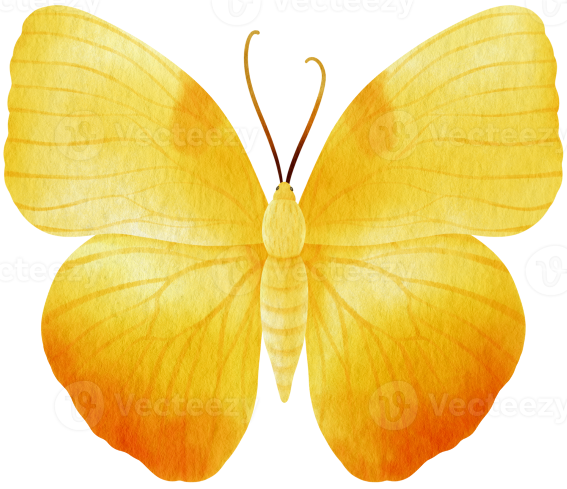 Yellow Butterfly watercolor style for Decorative Element png