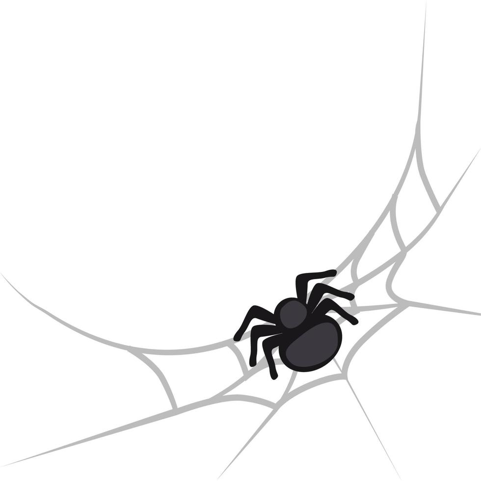 Halloween spider and spiderweb vector