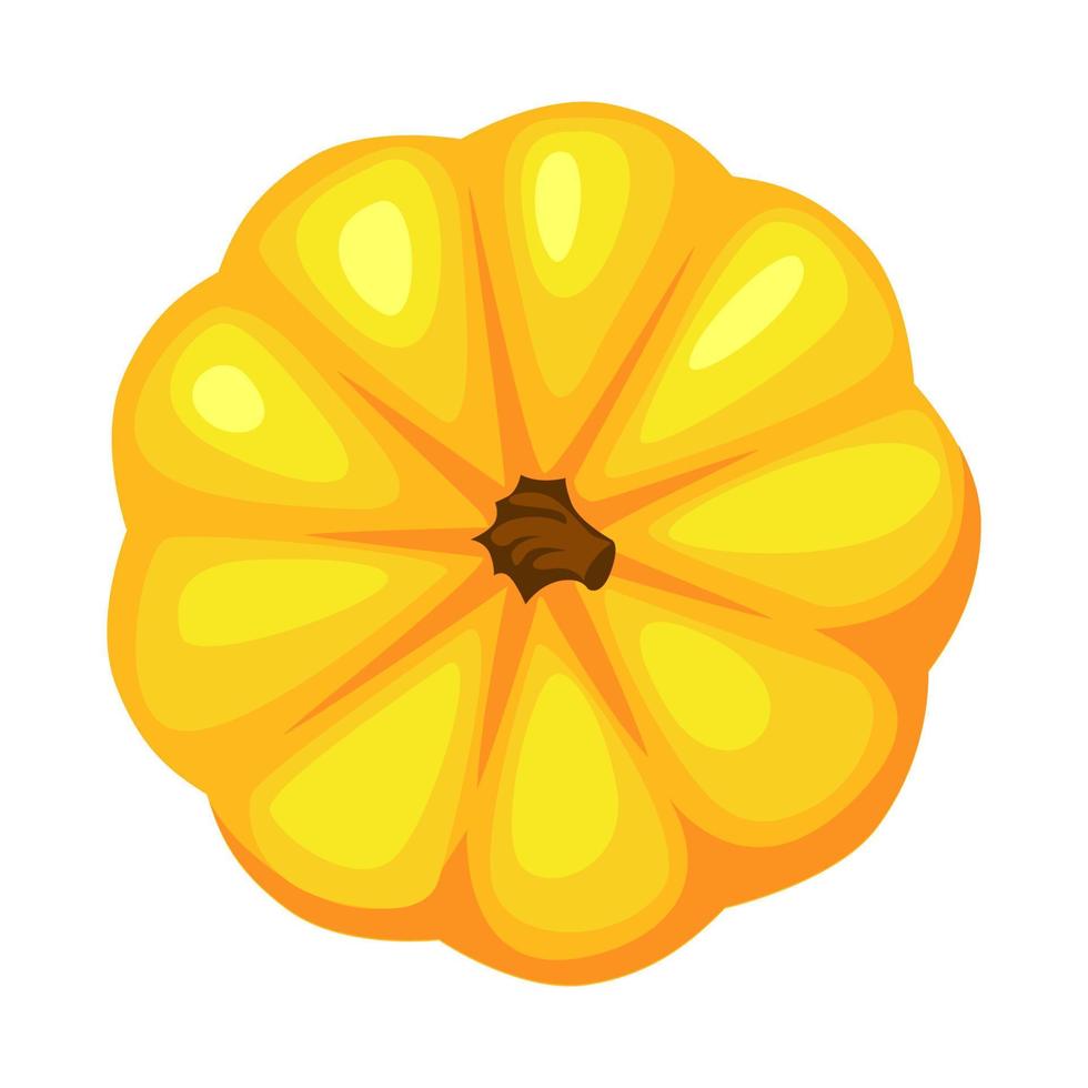 Cartoon orange pumpkin, top view. Symbol Happy Thanksgiving and Happy Halloween. Pumpkin icon vector