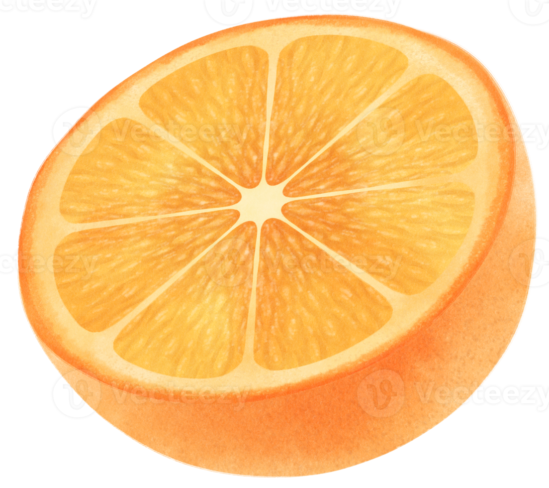 hälften av orange frukt akvarell illustration png