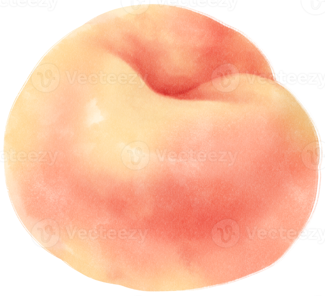 Peach Watercolor illustration png
