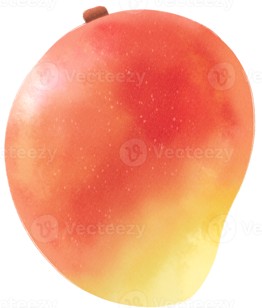 ilustración de acuarela de fruta de mango png