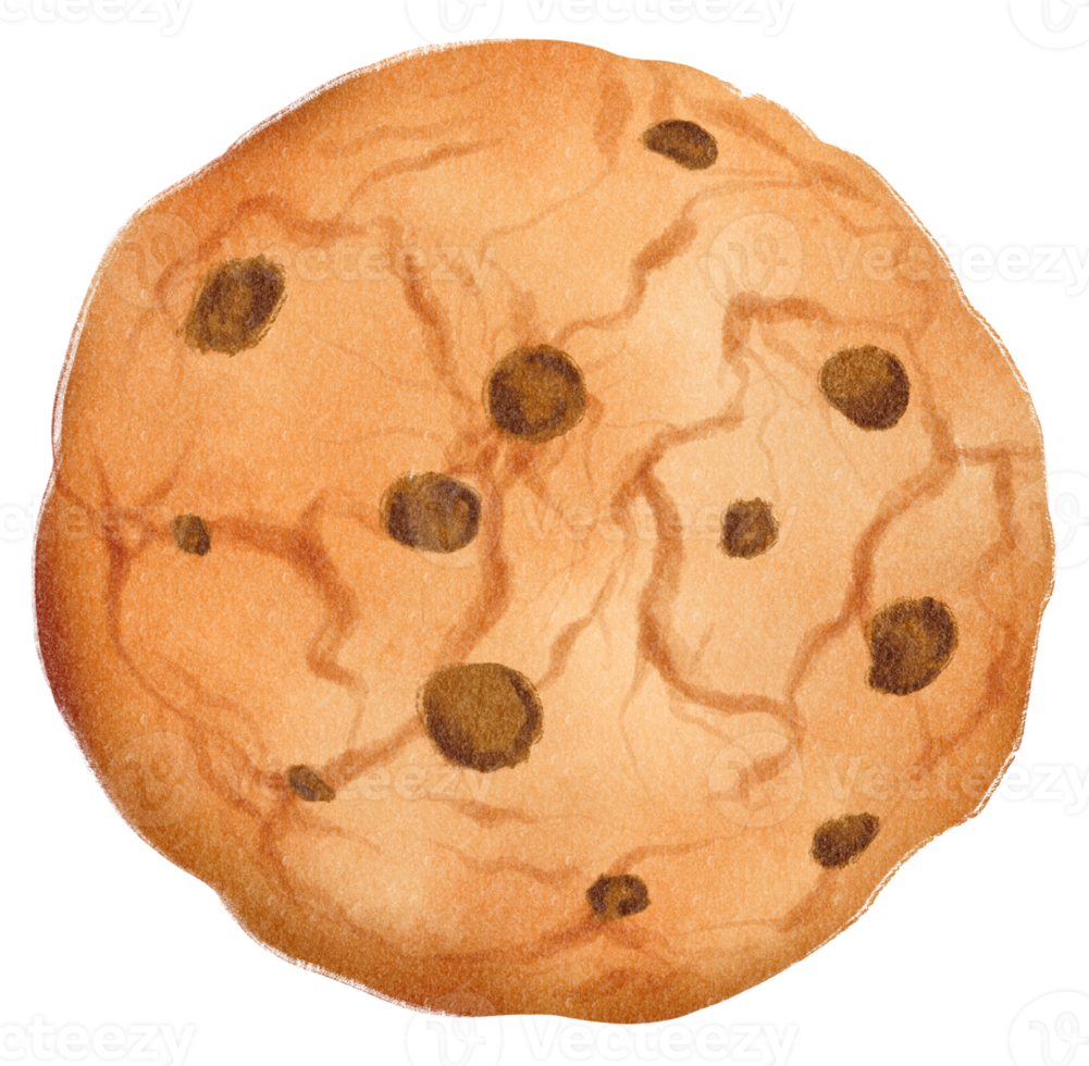 chocolate chip cookie aquarel handgeschilderd png