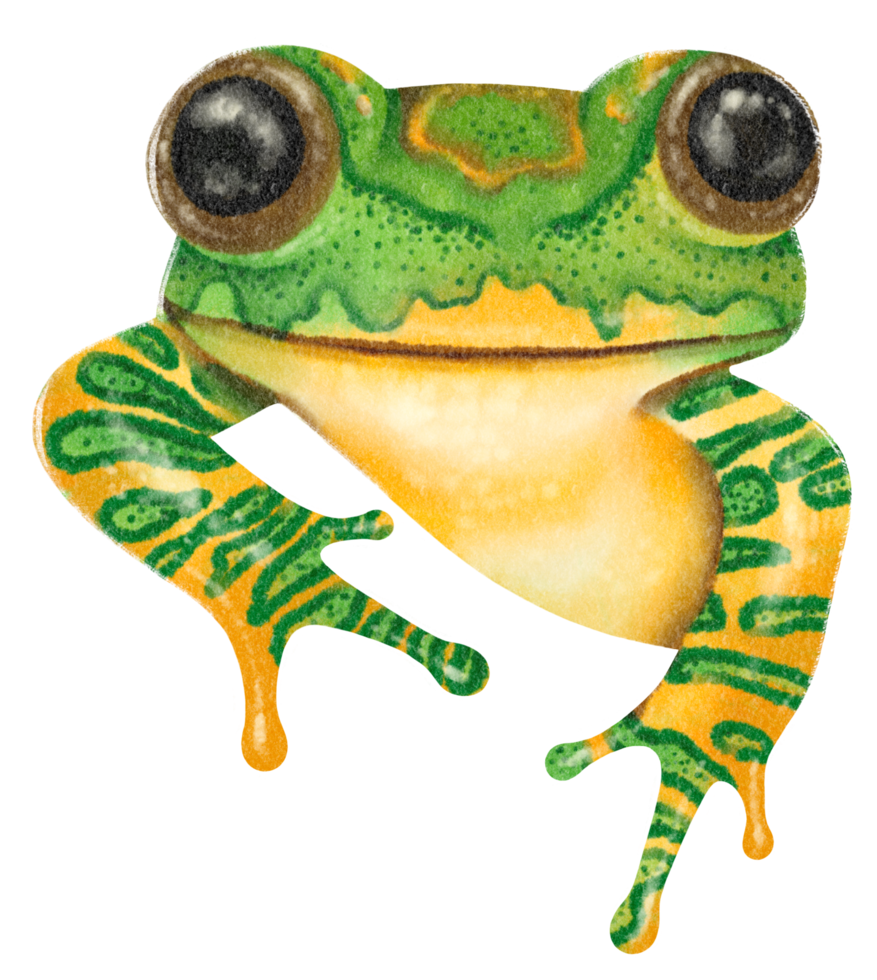 Watercolor hand painted Frog png