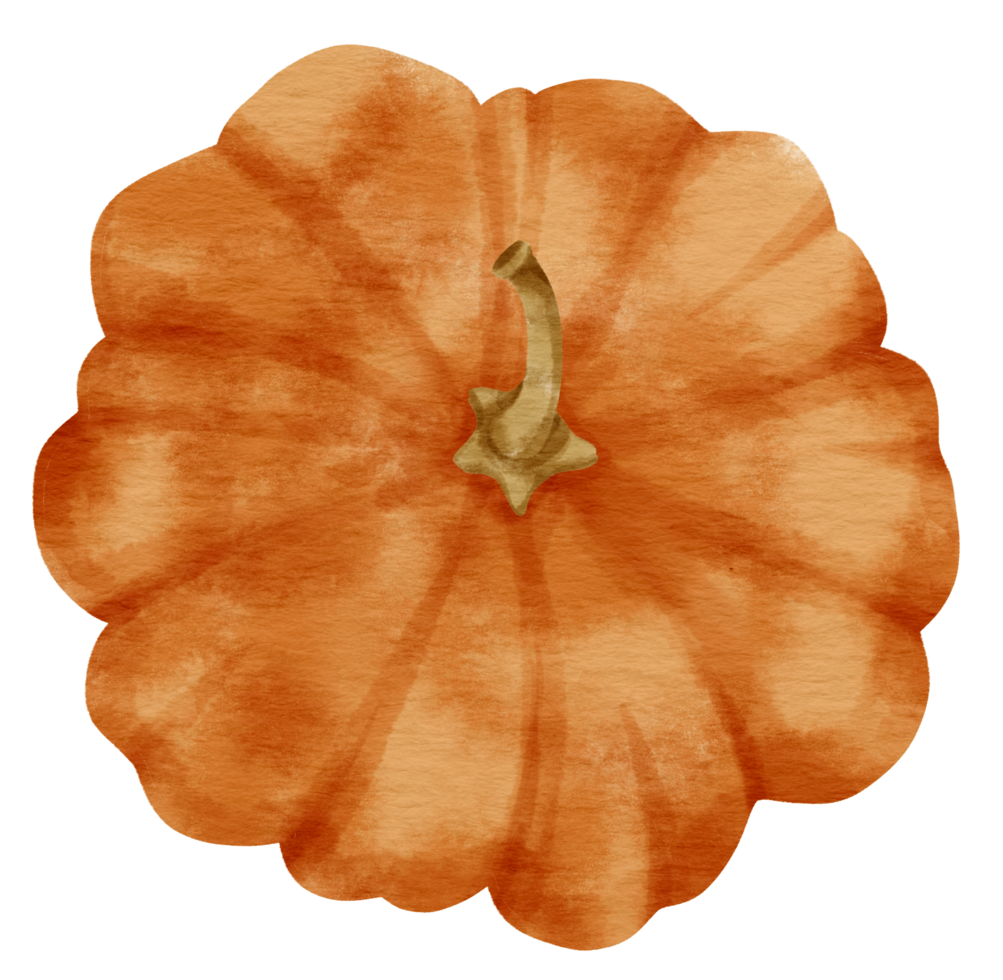 squash pumpkin watercolor style for Thanksgiving Decorative png