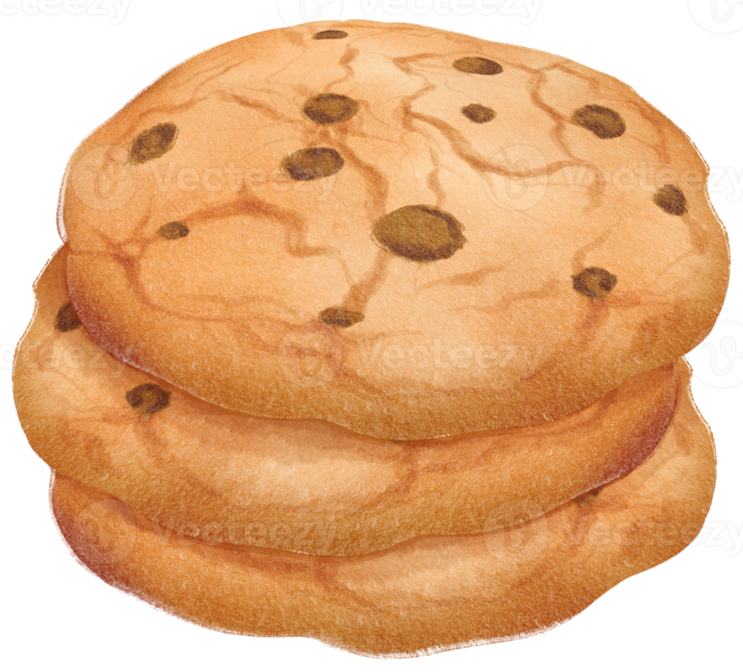 aquarel chocoladeschilferkoekjes illustratie png