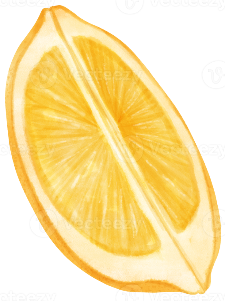 frutta al limone dell'acquerello png