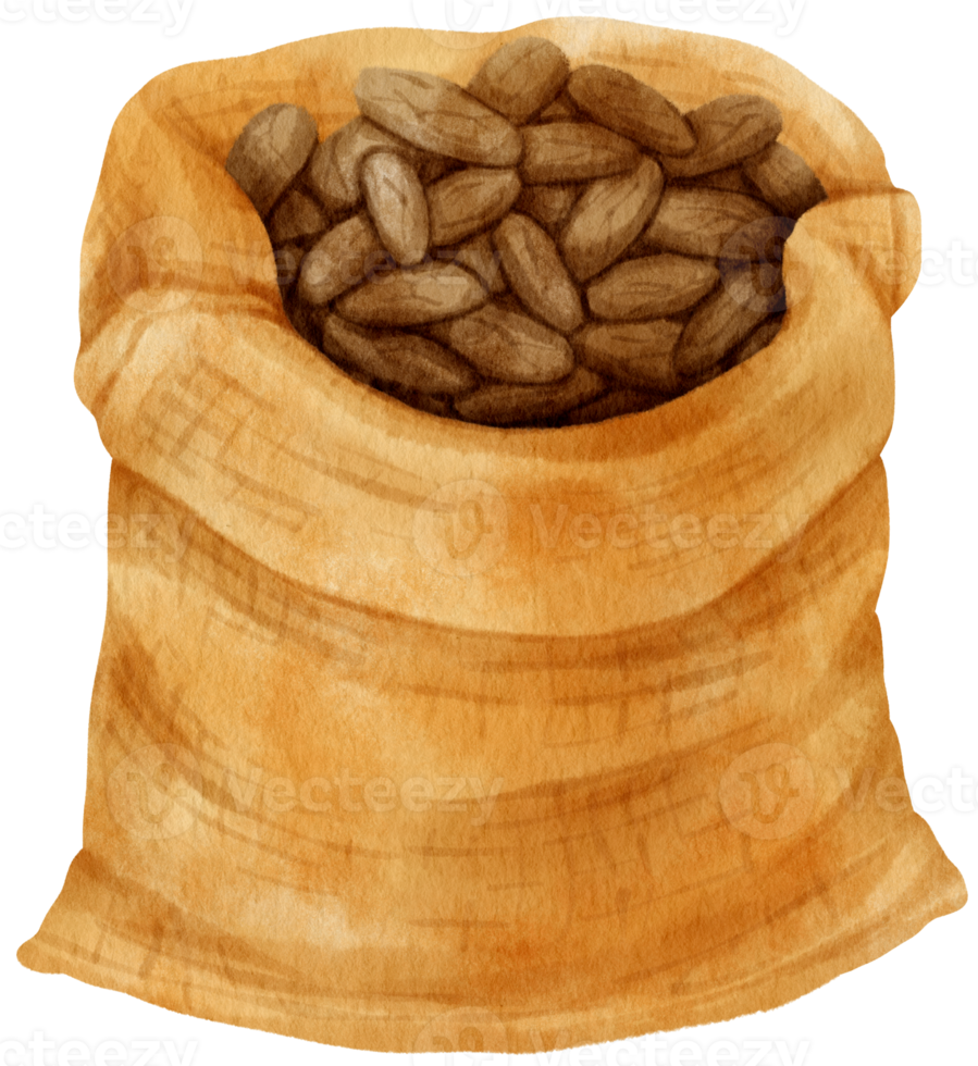 watercolor cocoa beans in burlap bag png