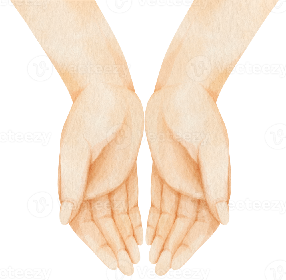 Hands pose open palm of hand watercolor illustration png