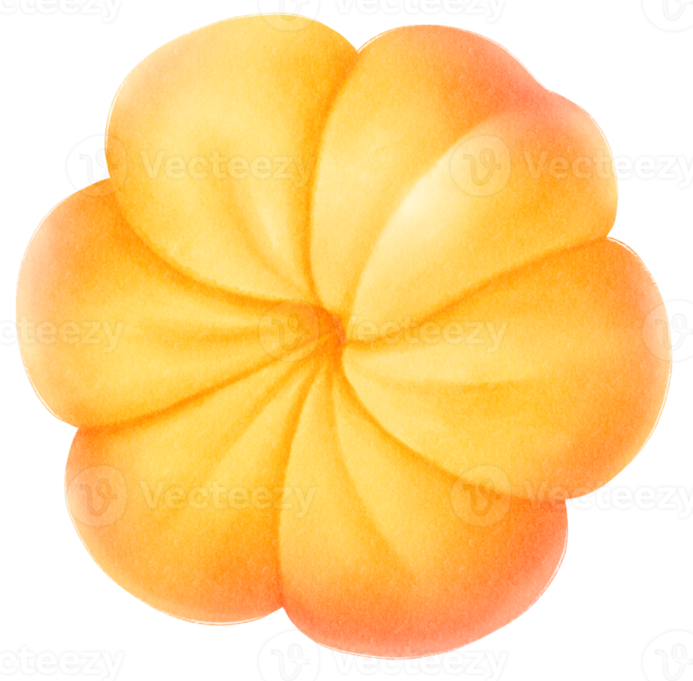 ilustração em aquarela de frutas cloudberry png