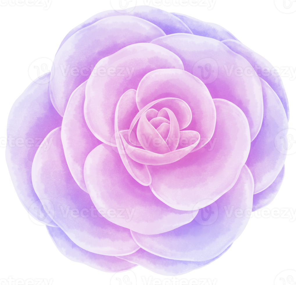 Flower Watercolor hand-painted png