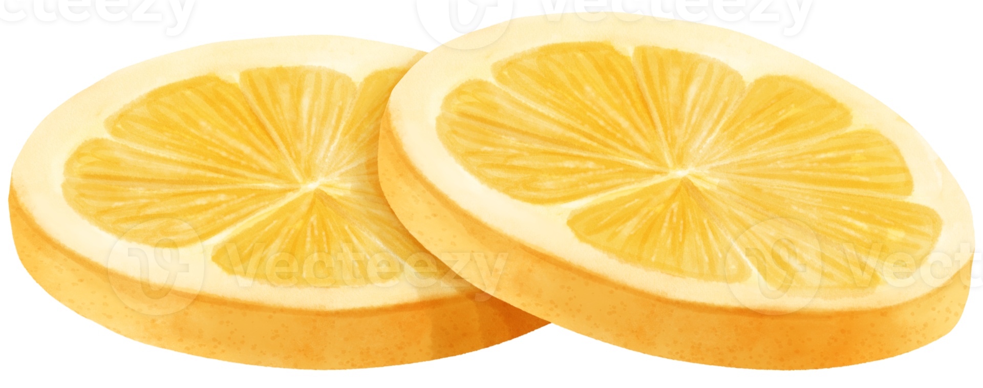 aquarel citroen fruit schijfje png