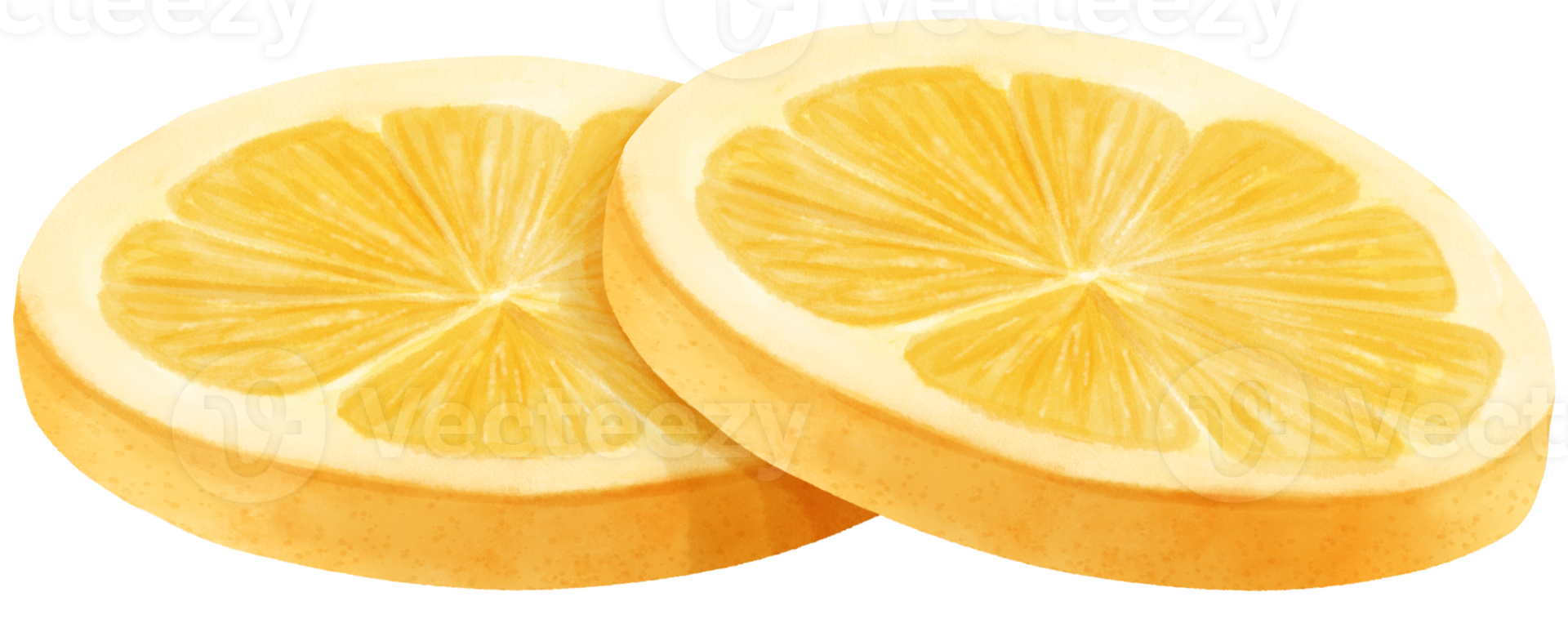 watercolor lemon fruit slice png