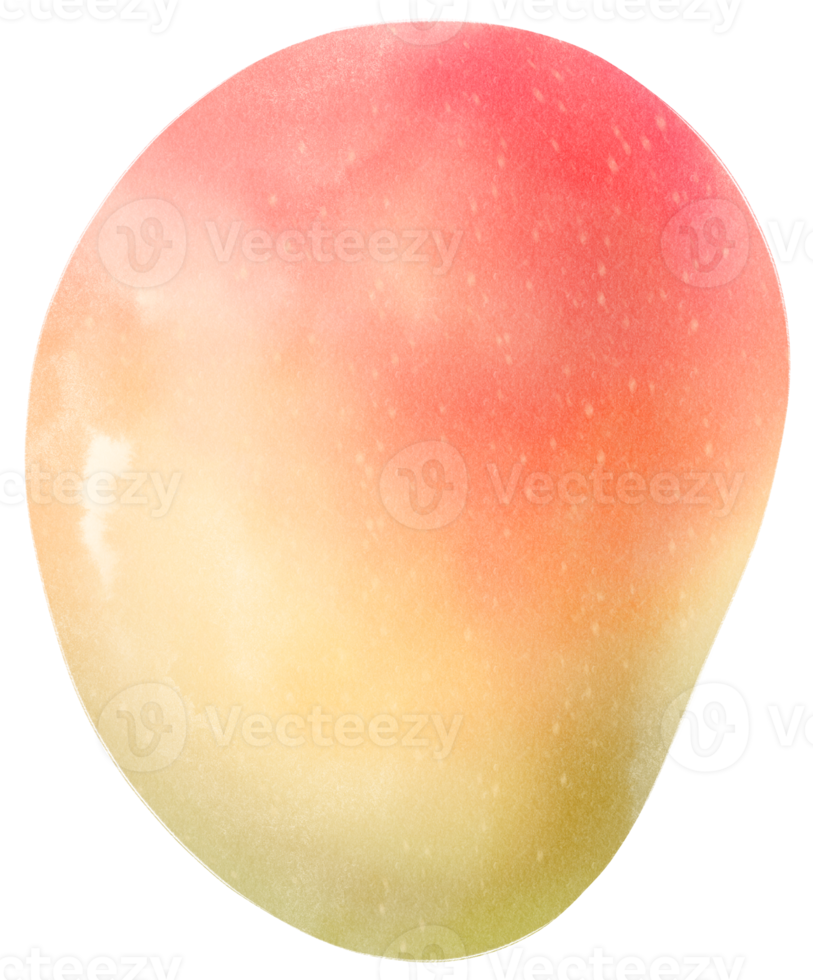 ilustración de acuarela de fruta de mango png