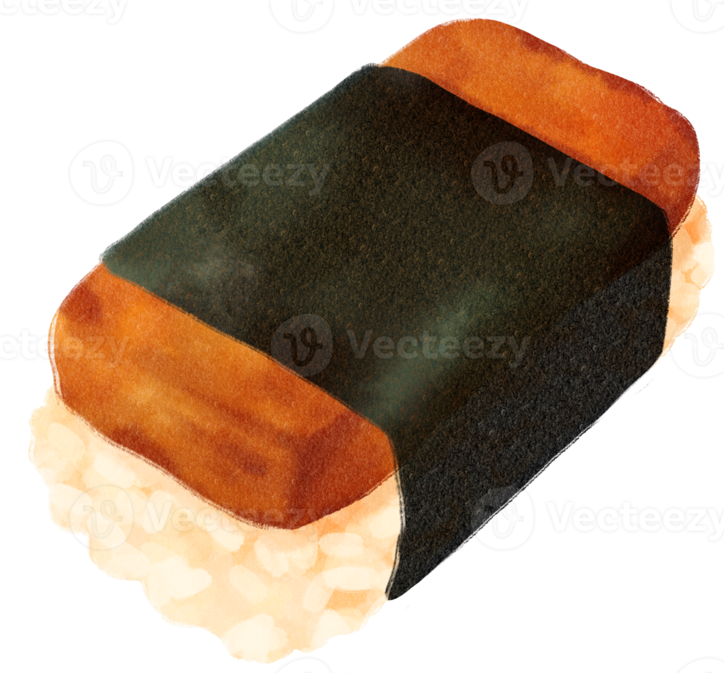 Sushi watercolor illustration png