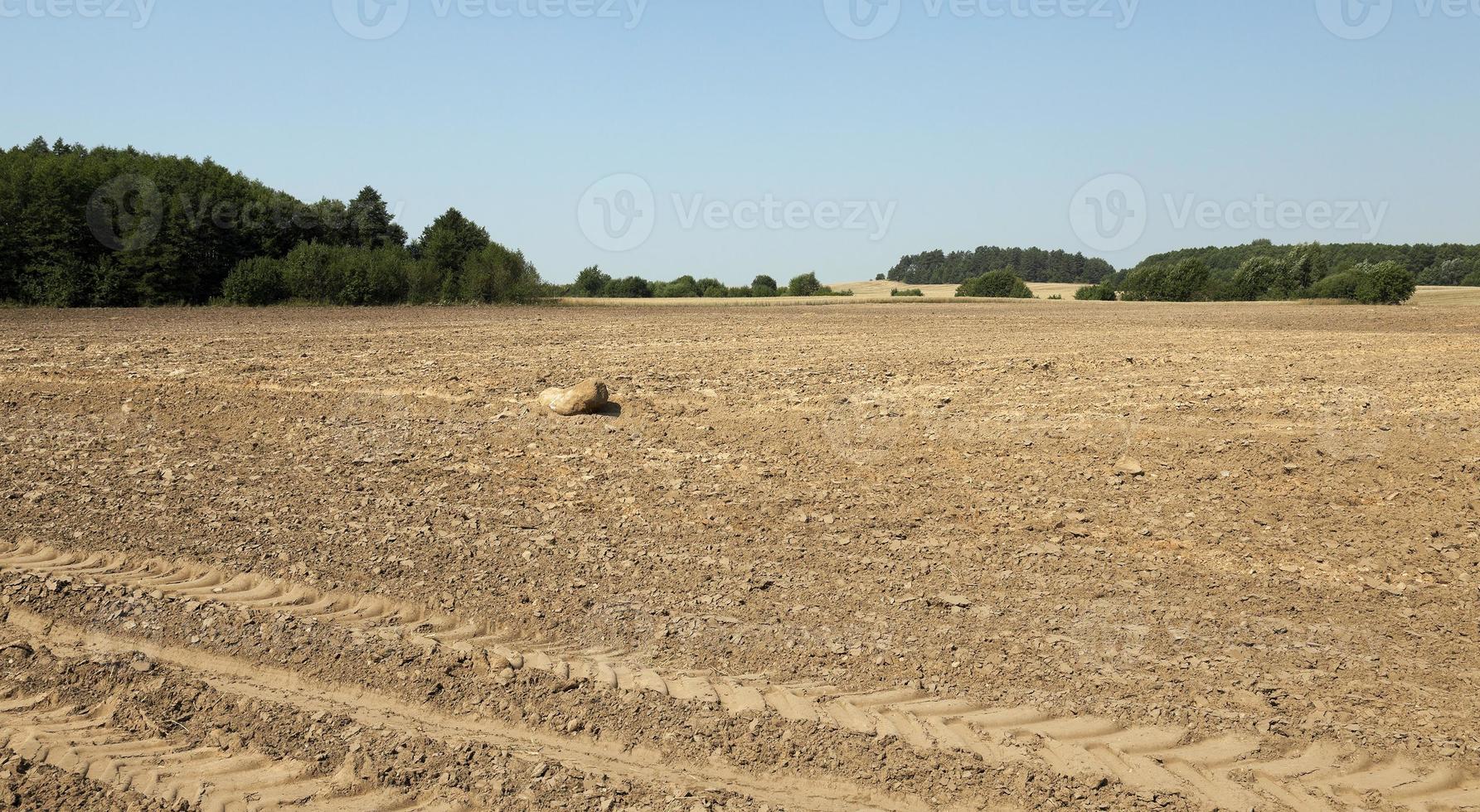 plowed land, summer photo