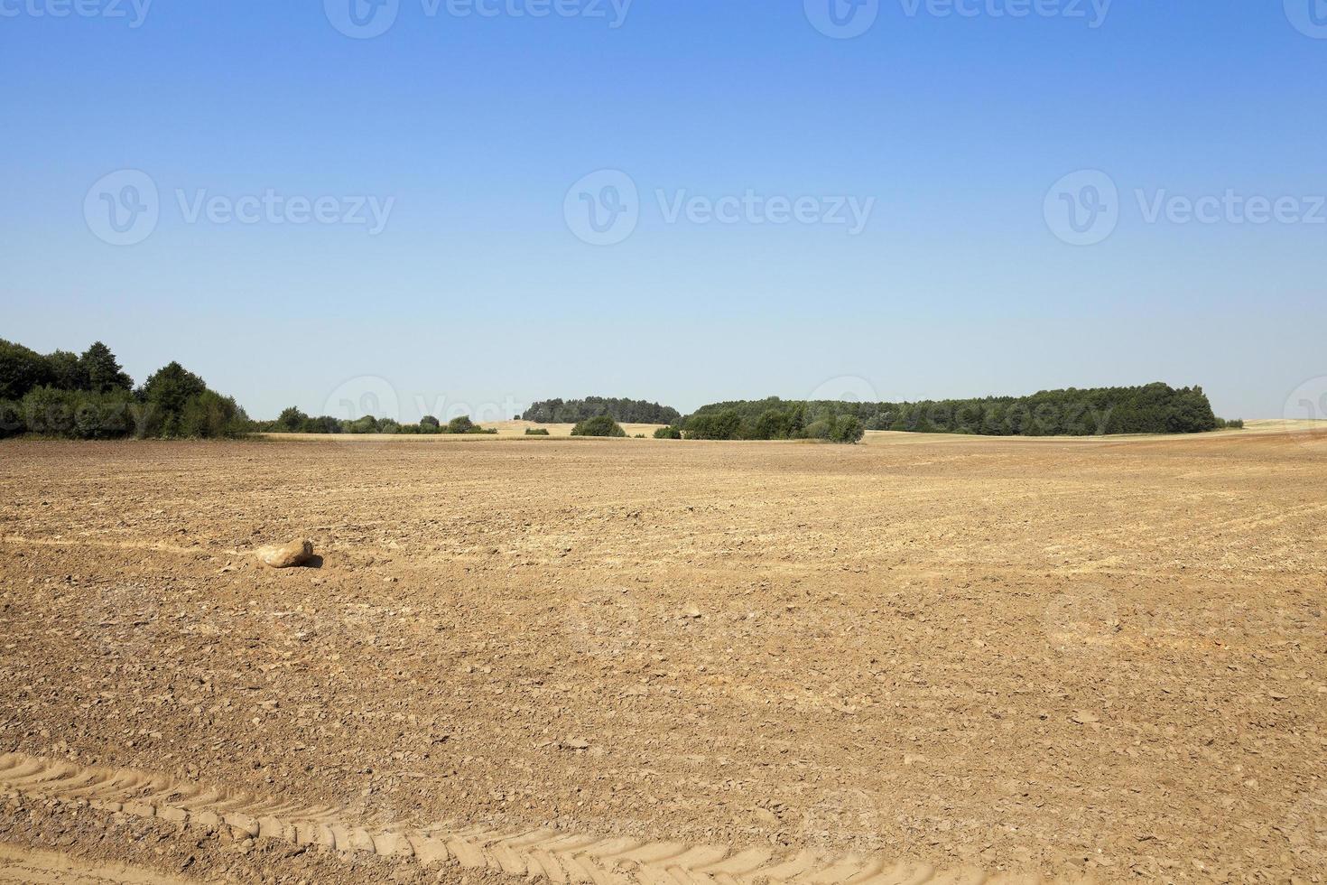 plowed land, summer photo
