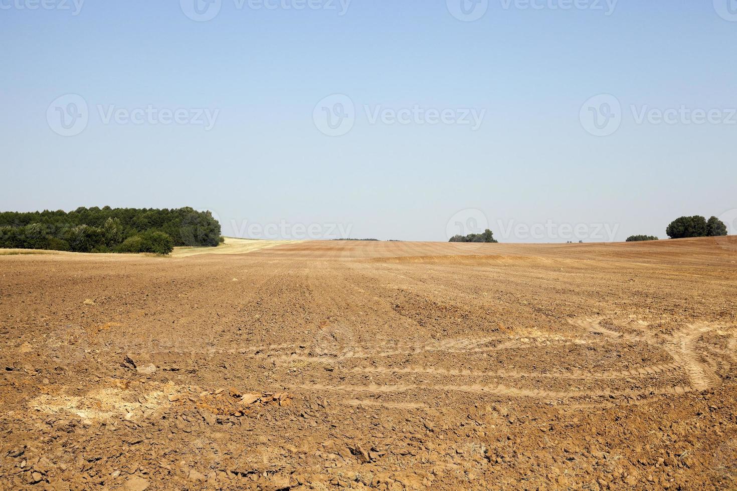 plowed agricultural field photo