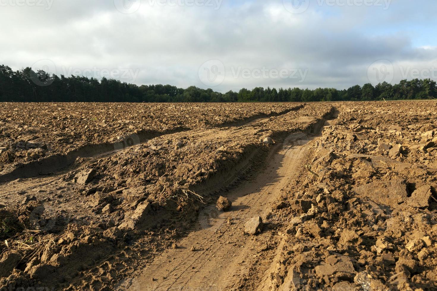 Track on plowed field photo