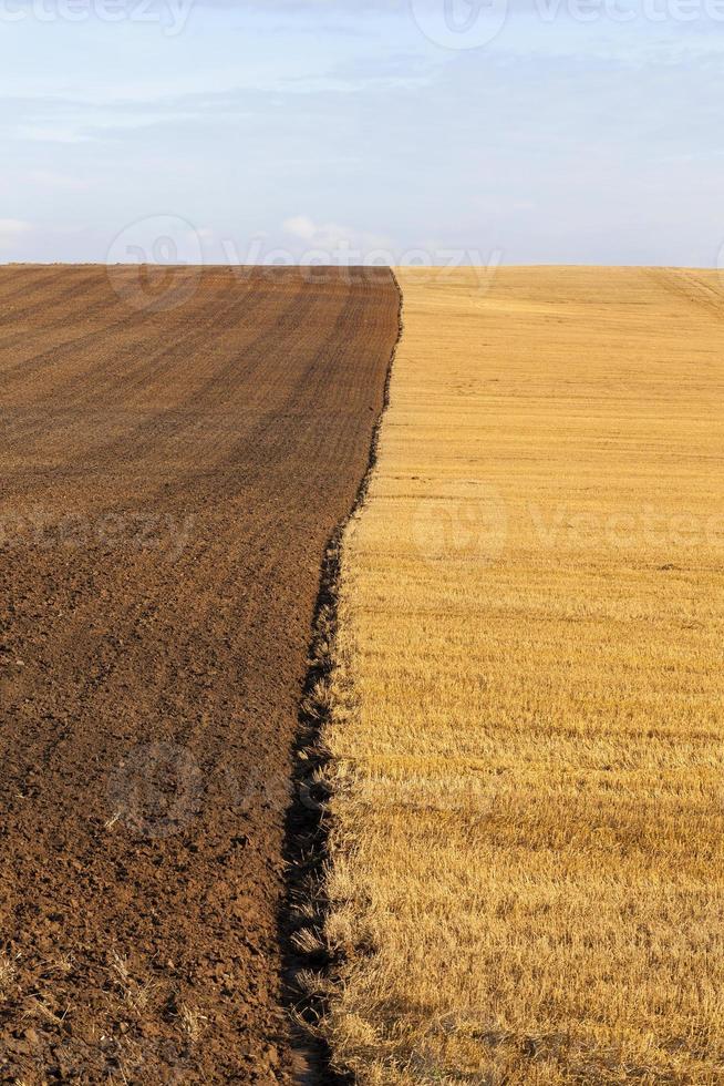 plowed agricultural field photo