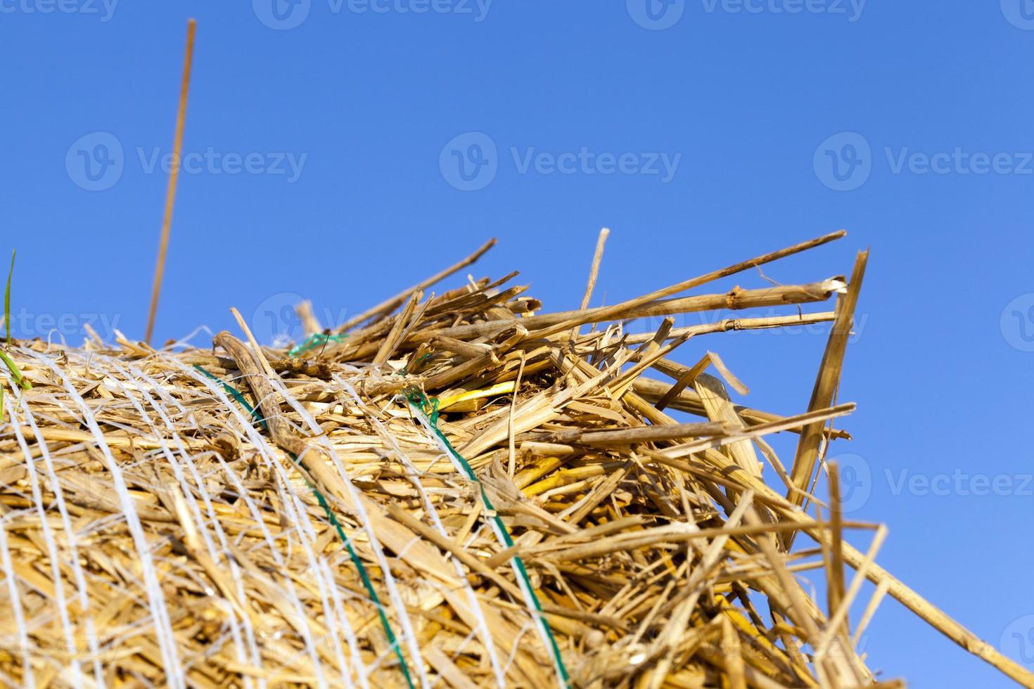 bale and blue sky photo