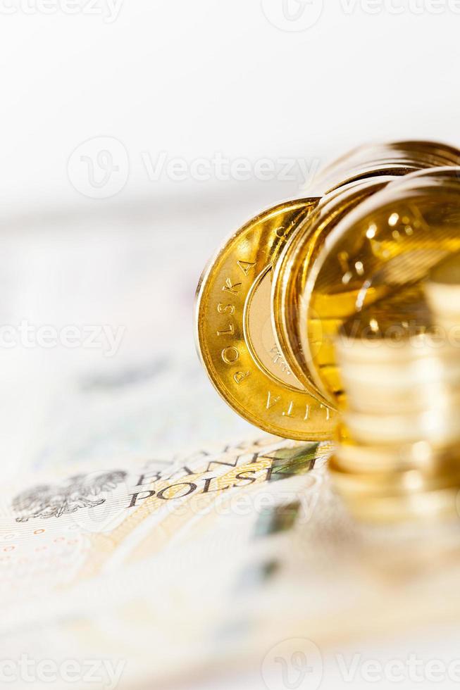 Poland money . Close  up photo