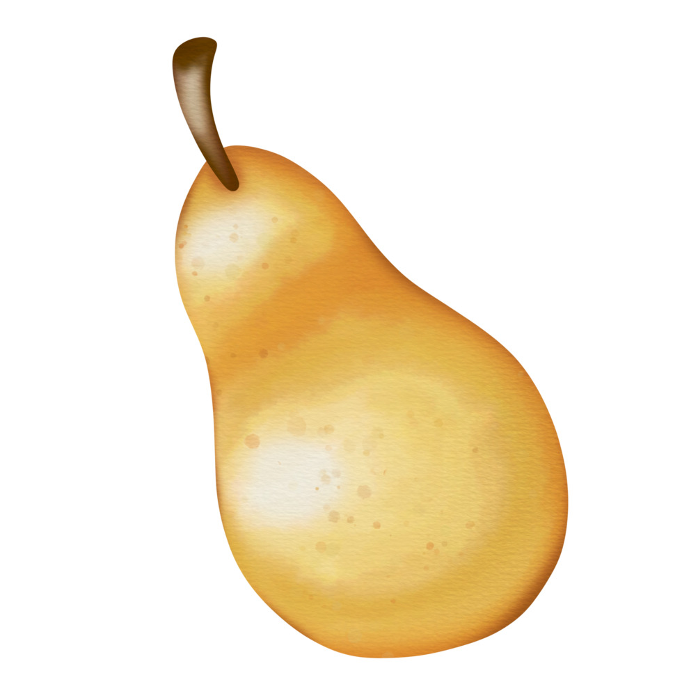 pear watercolor illustration png