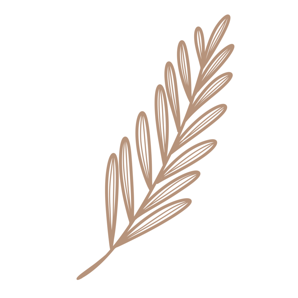 Line Art Leaf png