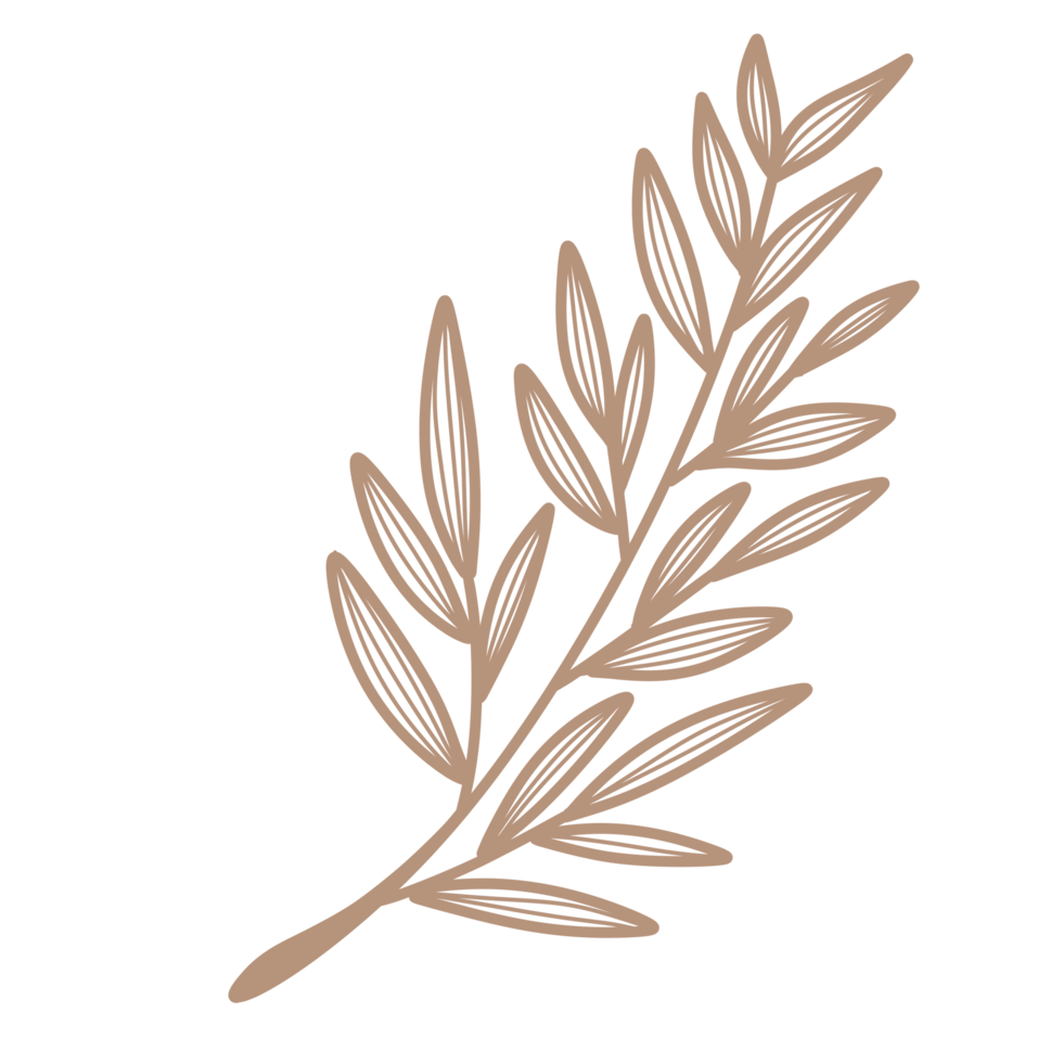 Line Art Leaf png