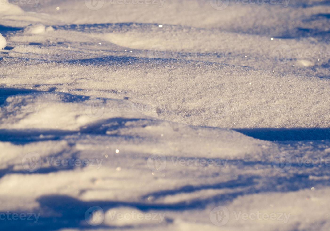 under snow, close up photo