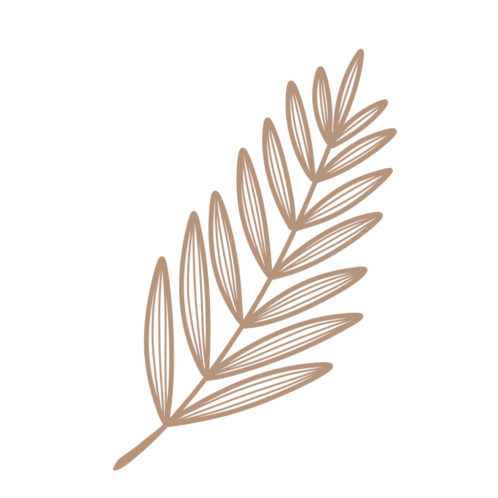 foglia d'arte linea png