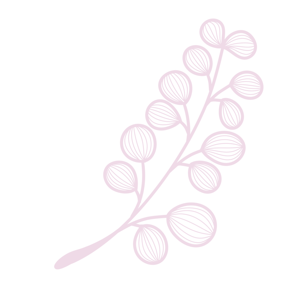 Line Art Leaf png