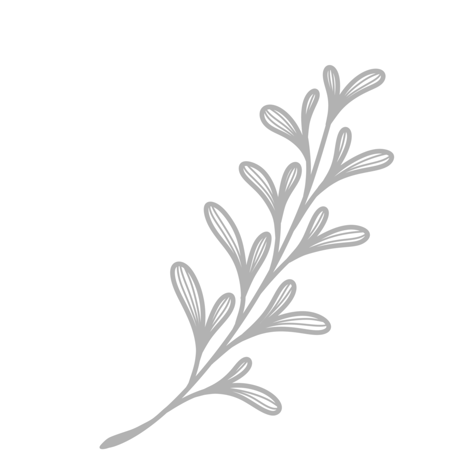 Line Art Leaf png