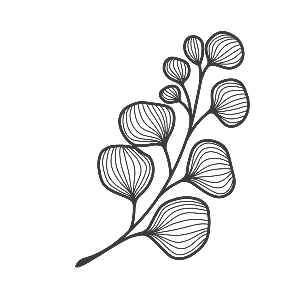 Line Art Leaf png