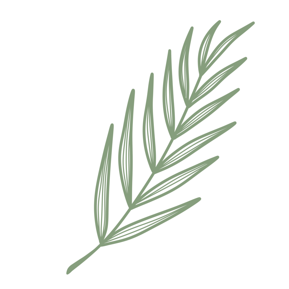 Line Art Leaf png