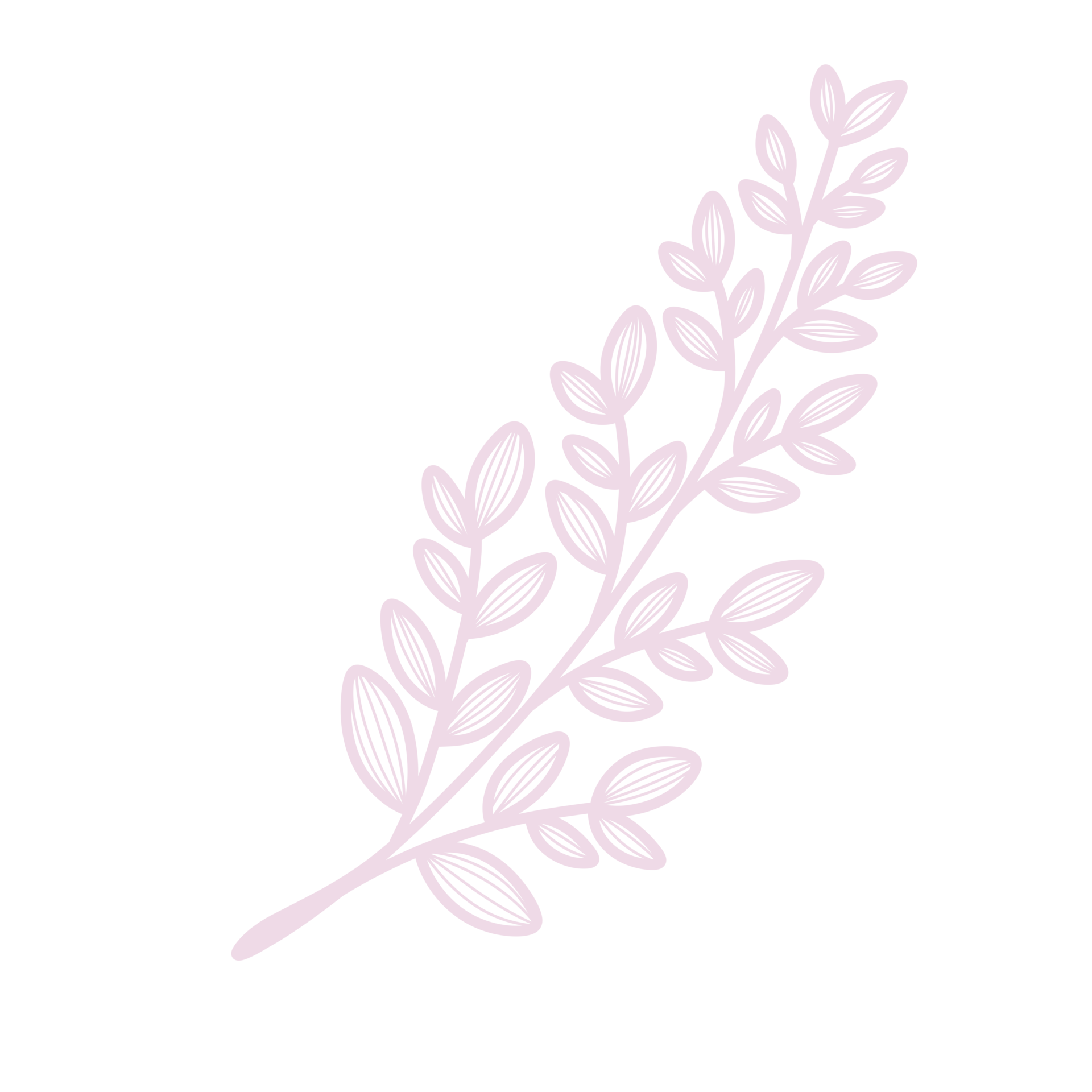 Line Art Leaf 9662251 PNG