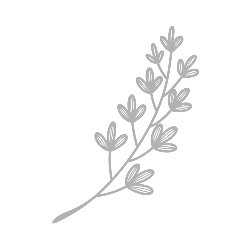 Line Art Leaf png