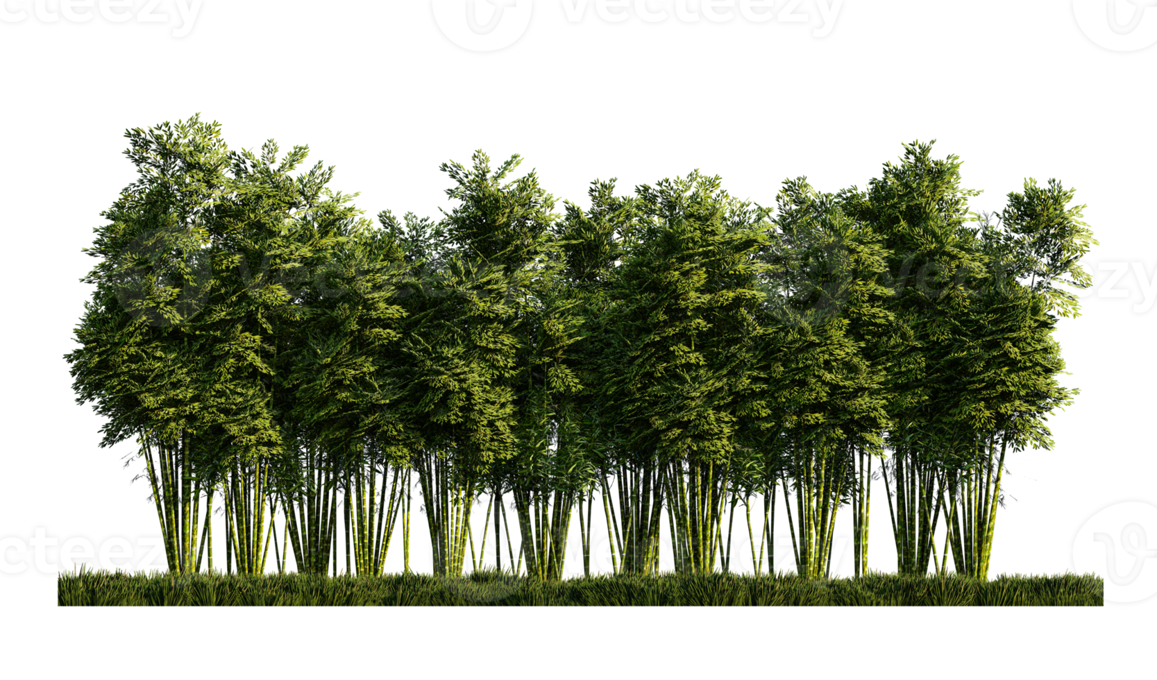 a 3d rendering image of a lot of  bamboos png