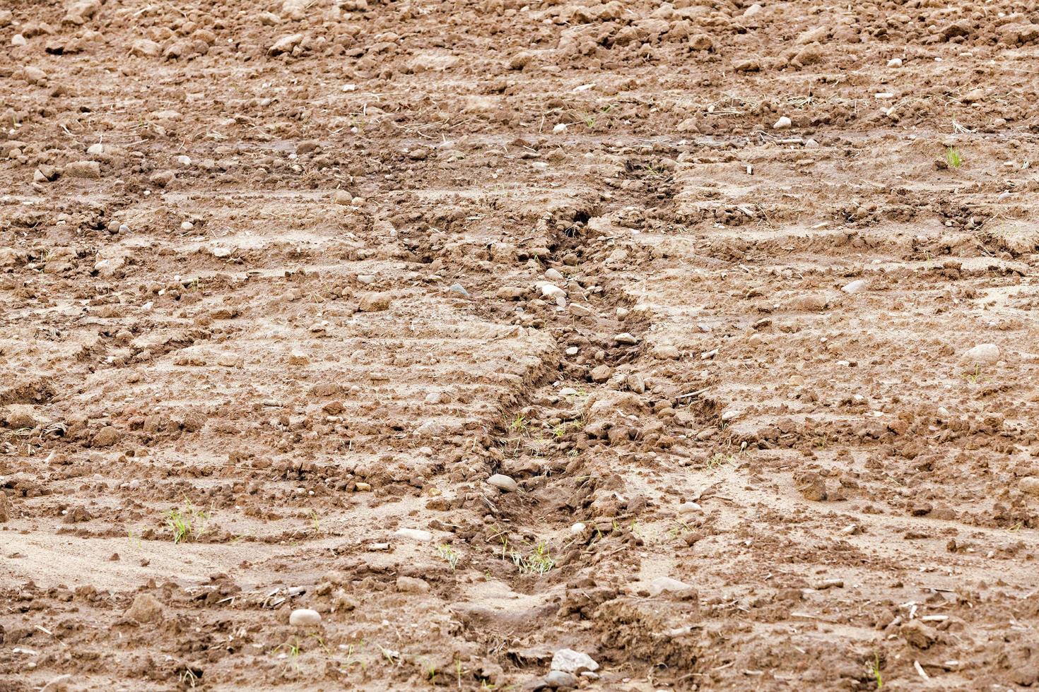 plowed for sowing the land photo