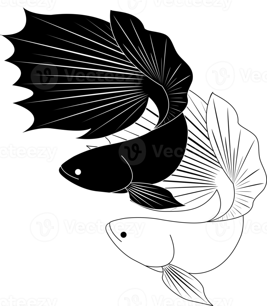 two betta fish white and black png