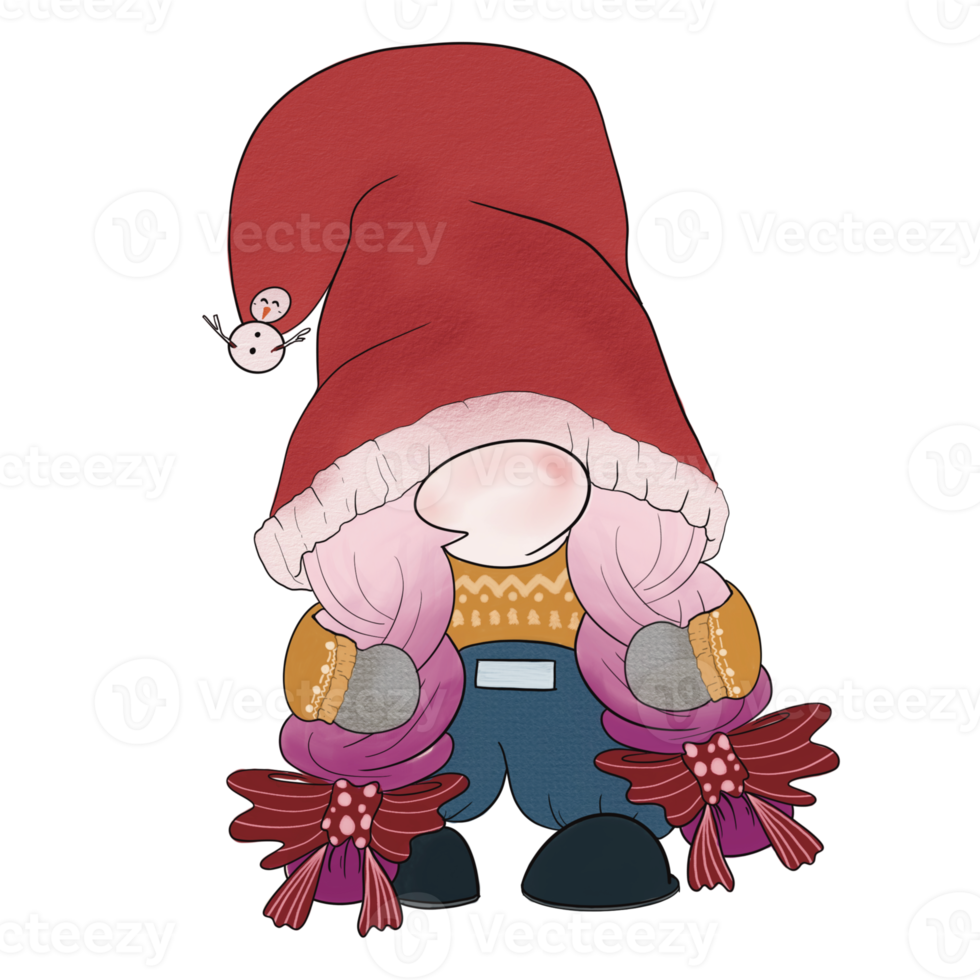 Christmas gnome Character png