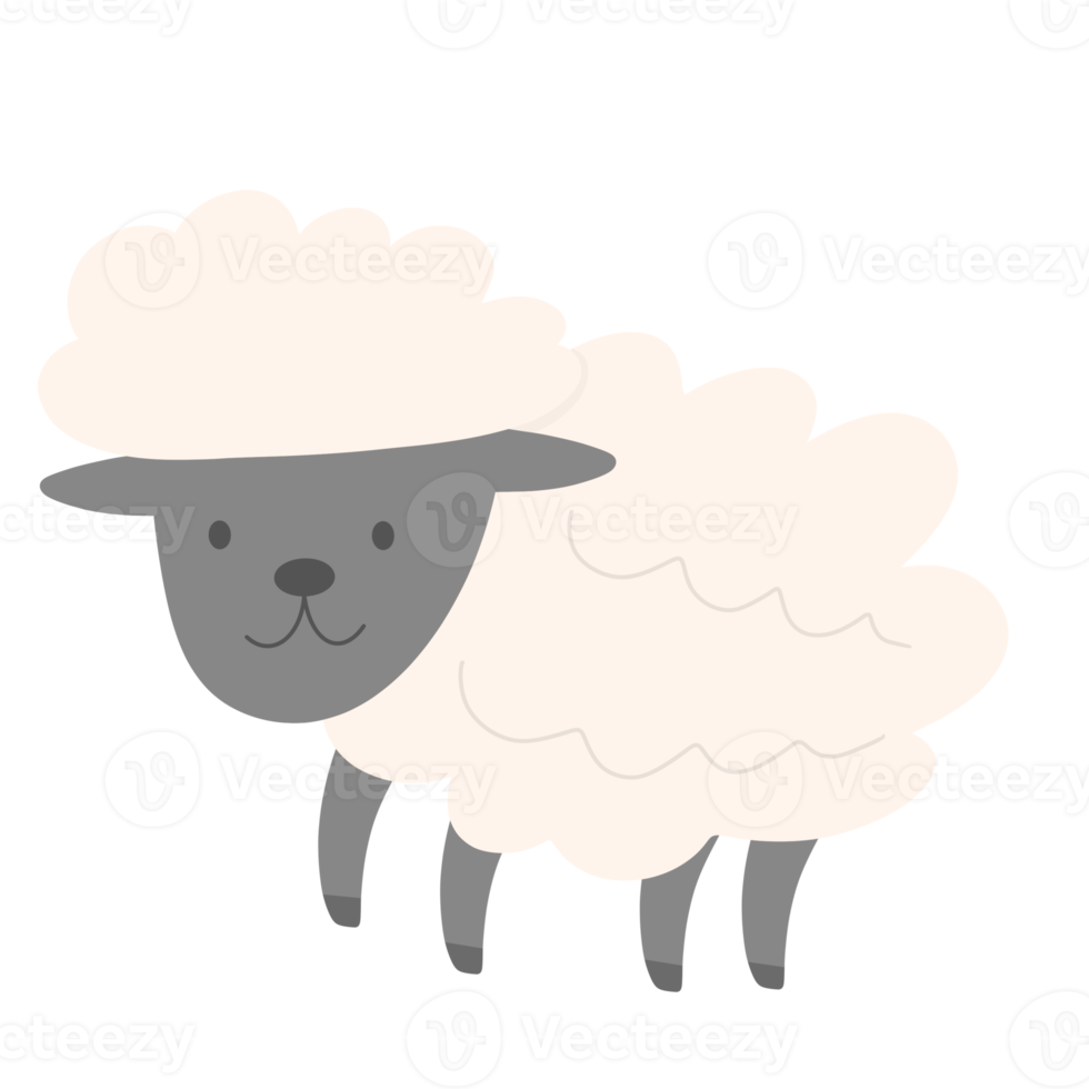 Sheep cute character png