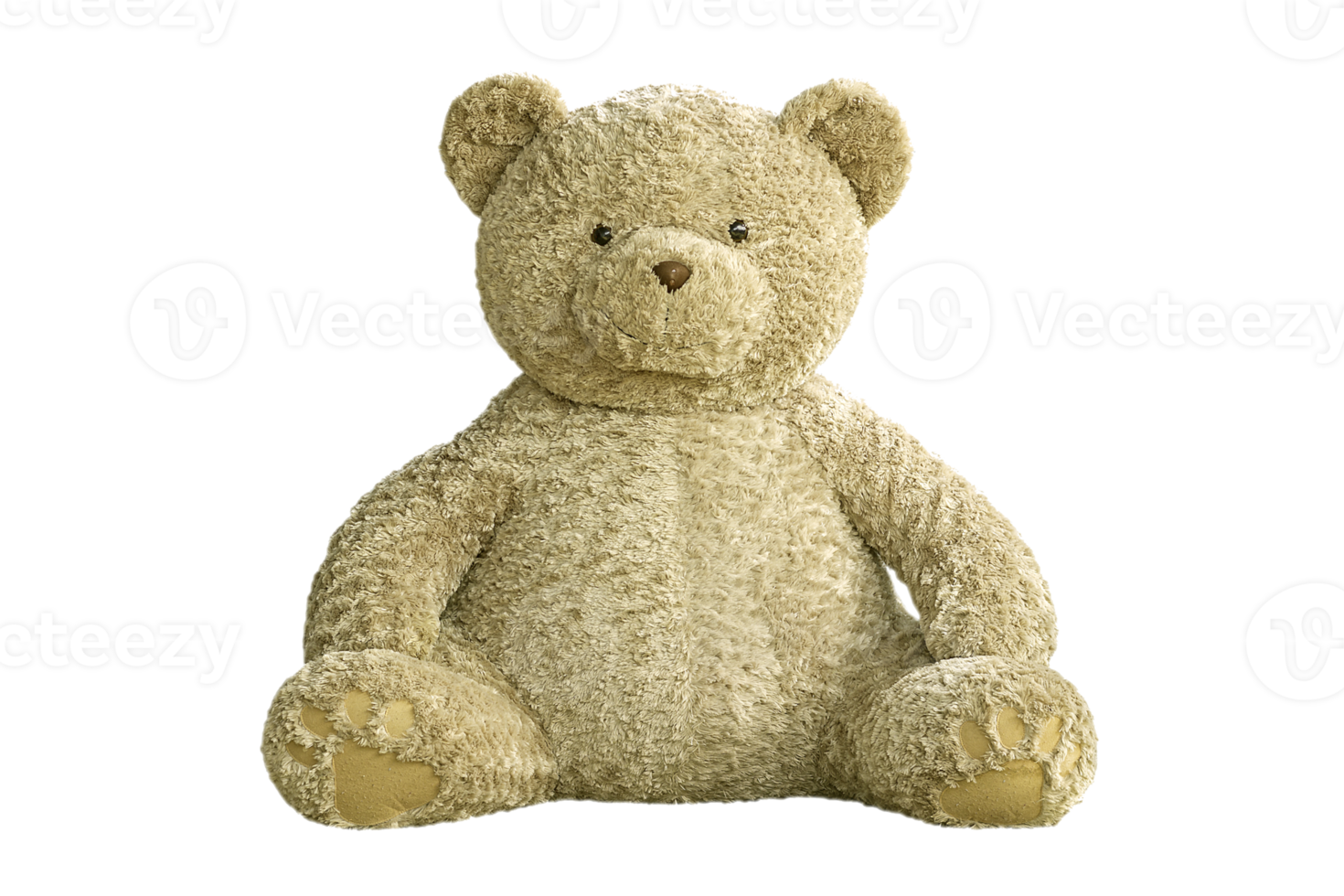 Teddy Bear isolated on white background png